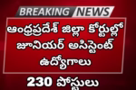 AP District court Junior Assistant Jobs 2025